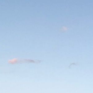 Meet your Posher, Gracue